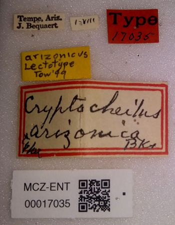 Media type: image;   Entomology 17035 Aspect: labels